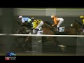 $50,000 UAE 2000 Guineas Trial, DARK MATTER, Jan. 12