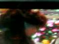 videos de Curtis the cave man