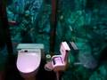 トイレが水族館「カフェレストラン「ムーミンパパ」