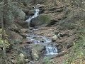 Mountain Laural Memory
