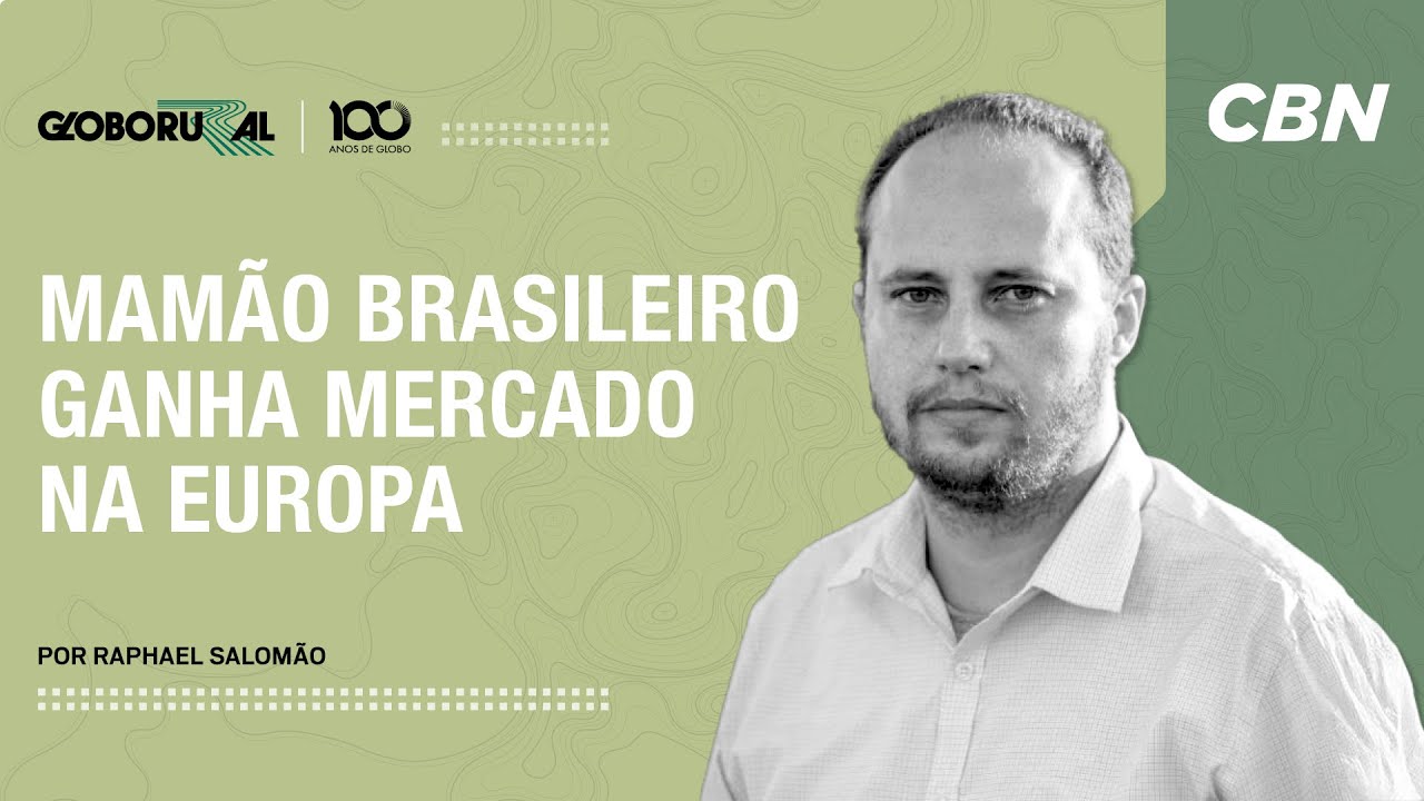Quanto custa o mamão do Brasil na Espanha?  | CBN Agro