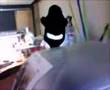 Kieko the killer whale at work