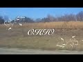 OHIO promo 3