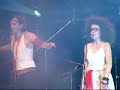 Laka - Zec Laka - Zec