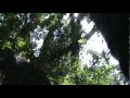 El Pital - El Salvador (14).mpg