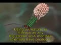 Viruses on the attack