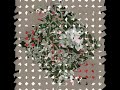 Fleur d\ Fleur d\