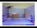 WWE Figures - A Promo for UFW