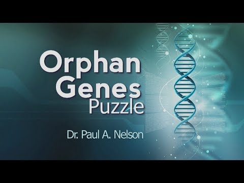 Origins: Orphan Genes Puzzle – Dr. Paul Nelson