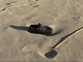 Maruggio, la tua Terra, il tuo Mare... la tua Spiaggia! Maruggio, la tua Terra, il tuo Mare... la tua Spiaggia!