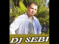 Dj Seby - Astazi stau si plang (rmx2007)