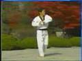 9. Taekwondo Poomsae Koryo (WTF)