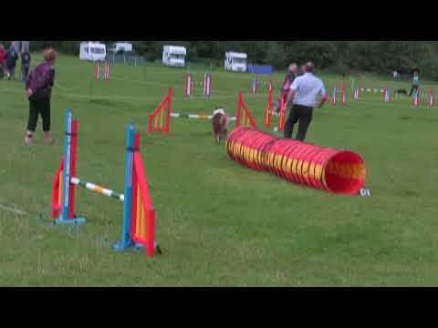 12th August Anysize jumping - 4th place