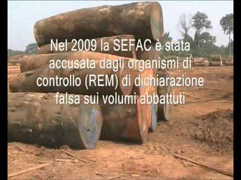 WWF Italy get funds from African deforestation carried by Vasto Legno