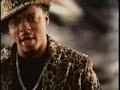 shaggy feat the kraft 