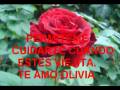 videos de YO TE PROPONGO