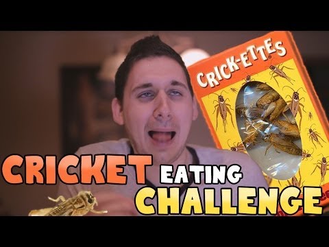 Cricket Eating Challenge!!
