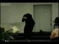 Kristal Calloway _ Praise You Through The Storm