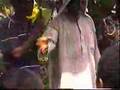 Plaisirs des Comores