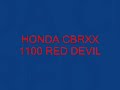Honda CBRXX 1100 in Letargo Forzato