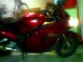 Honda CBRXX 1100 in Letargo Forzato