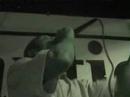 Myka Nyne & P.E.A.C.E. - A cappellas @ Rico\