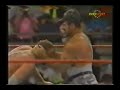 bushwhackers intro