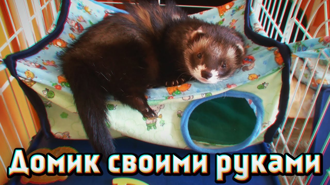 ШЬЮ ДОМИК ДЛЯ ХОРЬКА/Тёмное местечко для Кузьмы