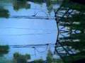 DITHERNOISE - RF (repetitive forms)