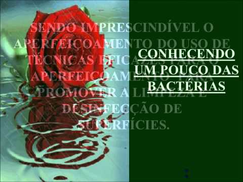 MANUAL DE LIMPEZA E DESINFECÇÃO ANVISA PARTE 1