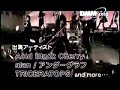 DMM Acid Black Cherry?SAKURAJAM 08