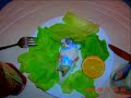 this was the time I ate my parakeet