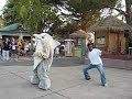 Dancing Dolphin+Good dancer+great song= Good video