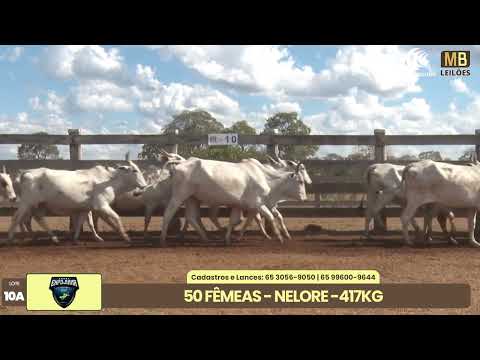 1� LEIL�O EXPOJUINA - 2026