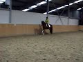 Beryl in galop