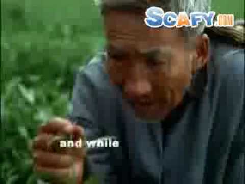scafy - http://www.scafy.com ... Funny commercials Snapple White Tea Commercial.