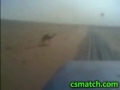 Camel Gets Hit By Train