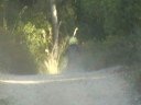 mini quad sport3-mallorkin