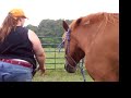 Horse Play - 2 Horse Play - 2