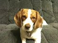 Zoey May