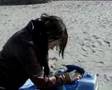 videos de Freddie fish