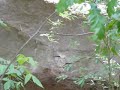 Bandelier stream reflections Bandelier stream reflections