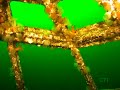 737 Artifical Reef, Music video