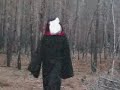 piggy (свинья)