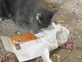 On the nip