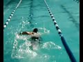 swim meet swim meet