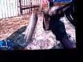 frontlines fuel of war pt.1
