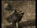 FRAKTAL_CHICKENS AND WORMS