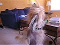 osker 2nd birthday part 5