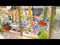 The Big Draw at Ginger Moo